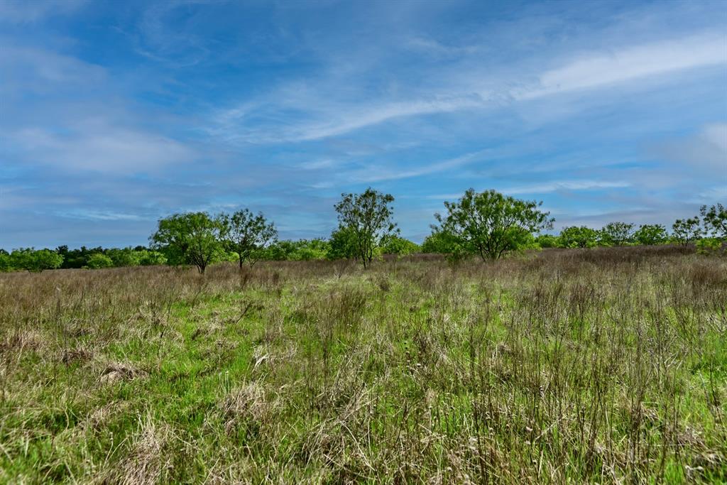 3490 County Road 328, Caldwell, Texas image 44
