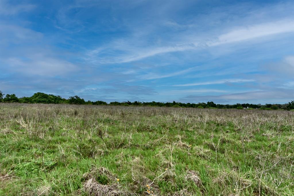 3490 County Road 328, Caldwell, Texas image 41