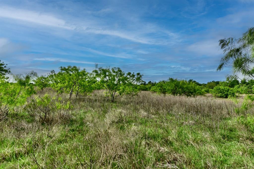 3490 County Road 328, Caldwell, Texas image 45
