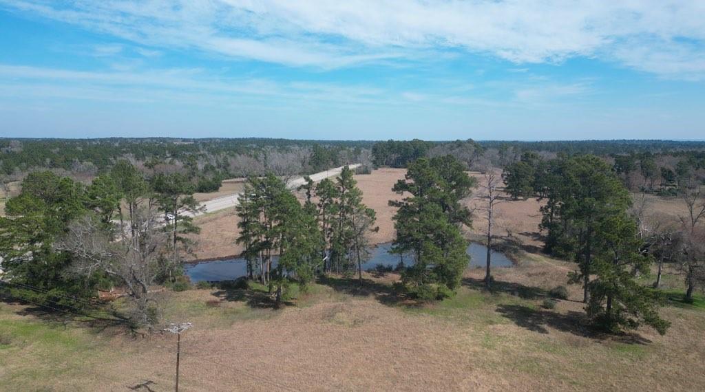 Pr 1313, Centerville, Texas image 9