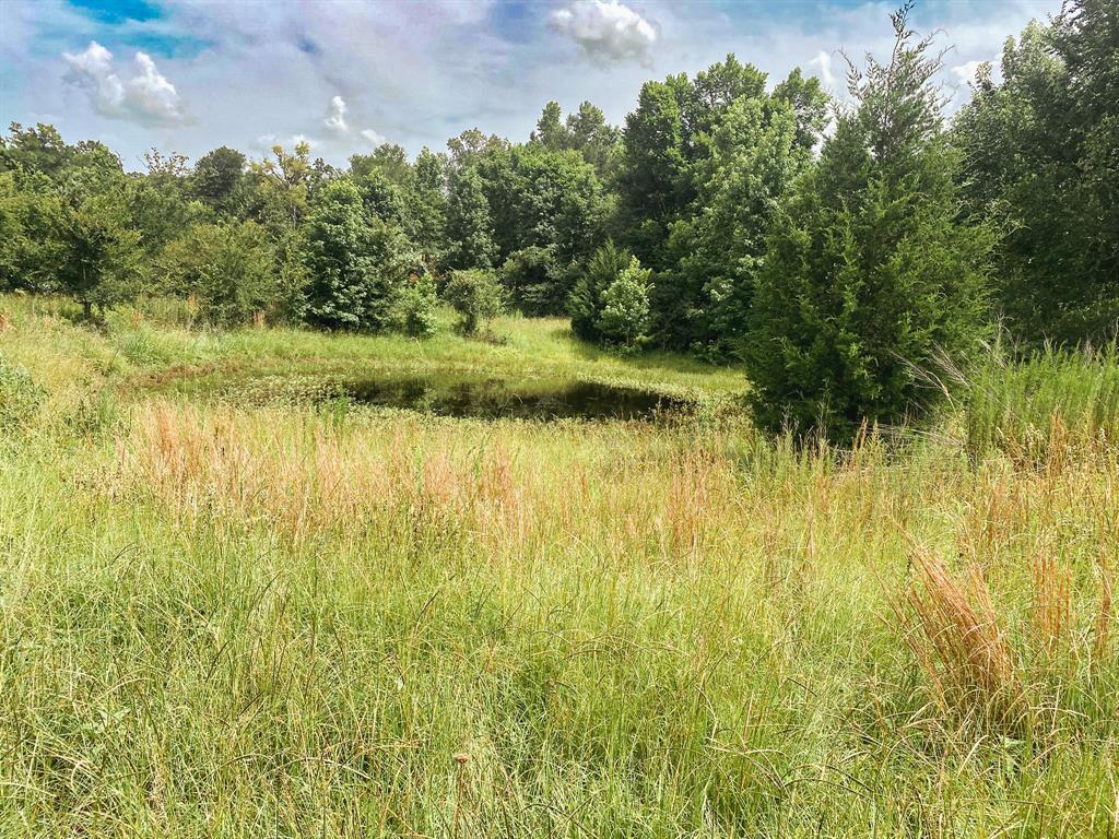 5913 E Us Highway 79