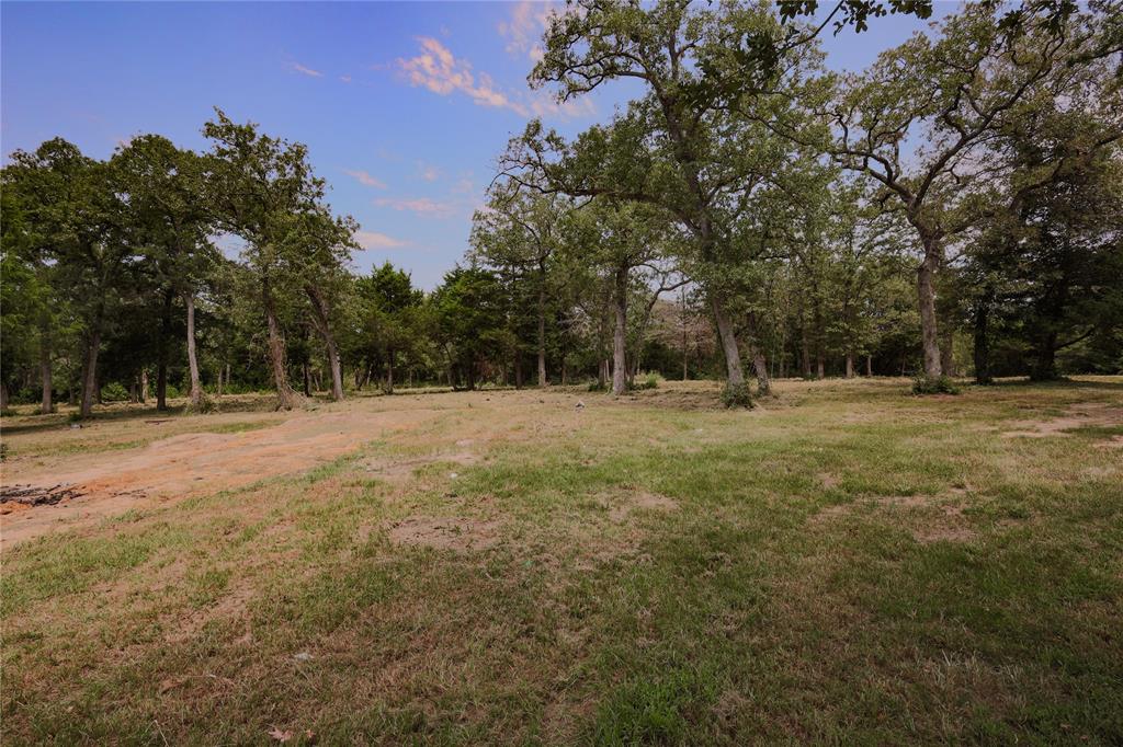 185 Cherry Cir, Somerville, Texas image 1