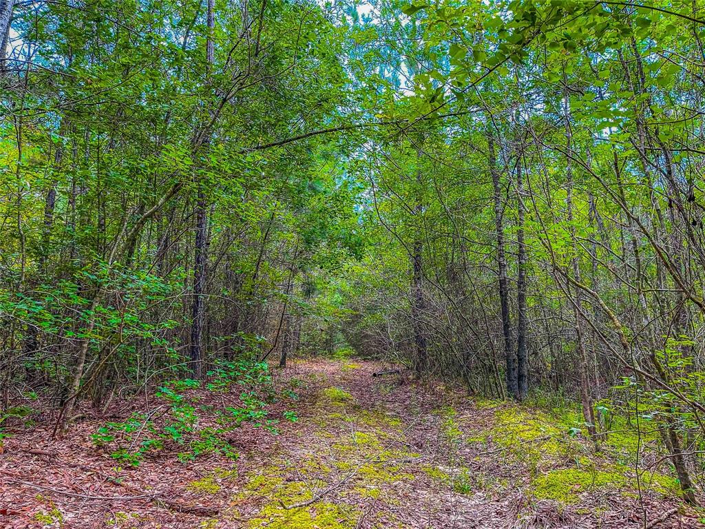 TBD Haynes Road, Orange, Texas image 14