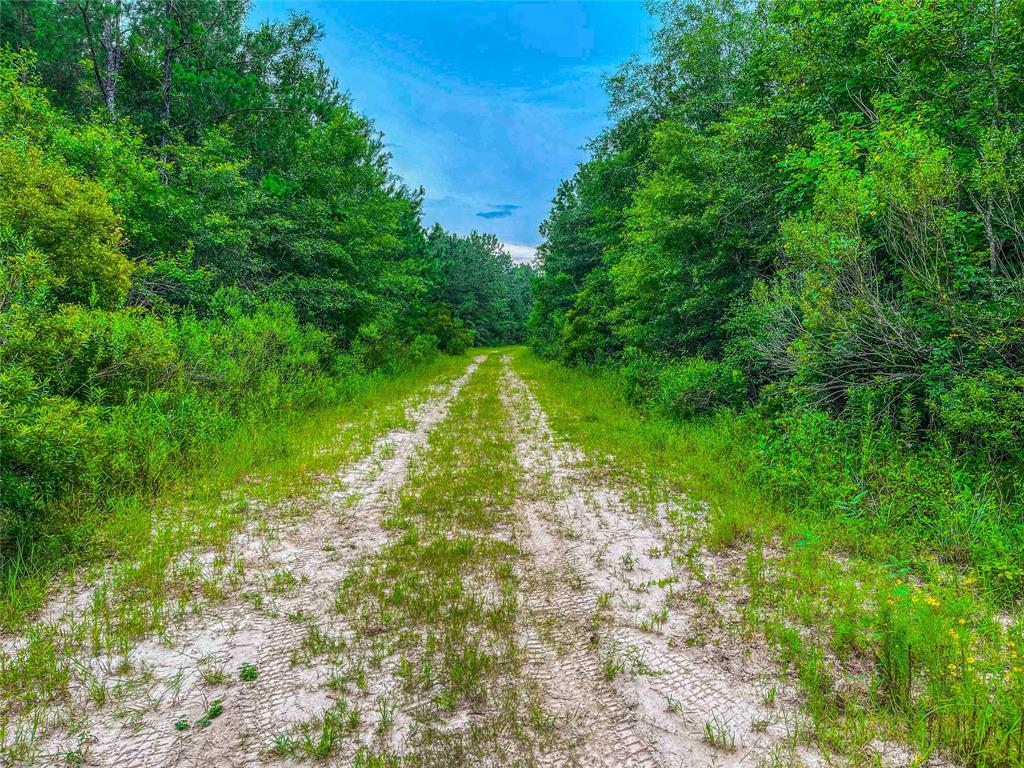 TBD Haynes Road, Orange, Texas image 9