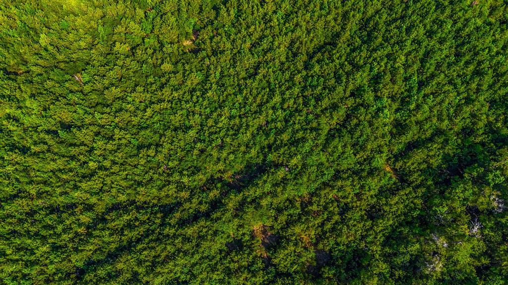 TBD Haynes Road, Orange, Texas image 18