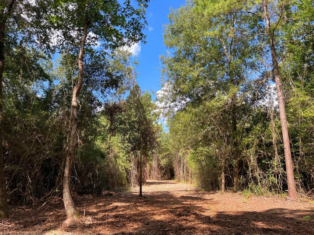 Eugene Walker Road, Huntington, Texas image 11