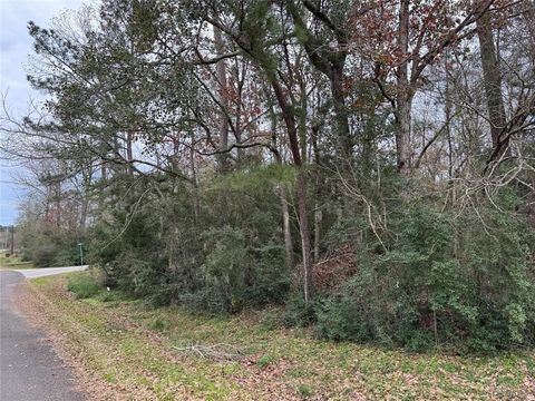 Photo of 29 Dove Island, Livingston, TX 77351 (MLS # 18069309)