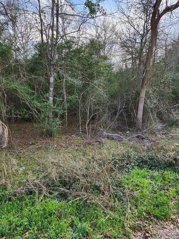 S Swan Lake Drive, Caldwell, Texas image 12