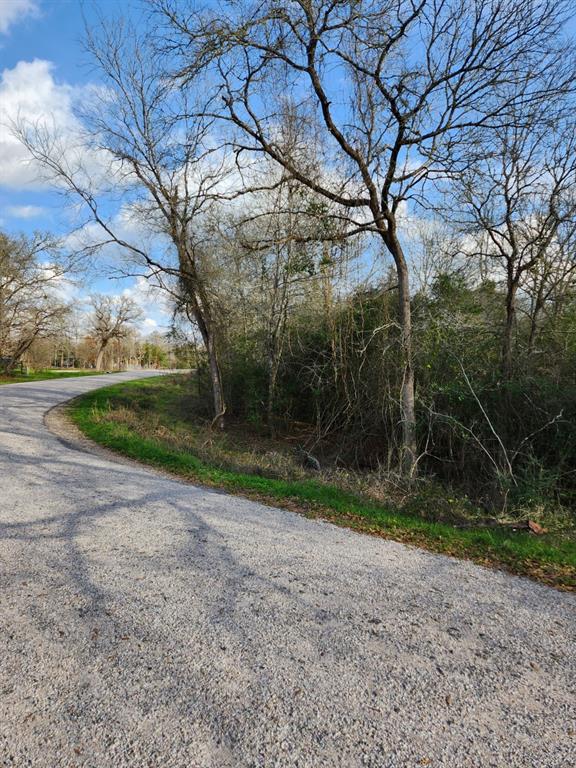 S Swan Lake Drive, Caldwell, Texas image 11