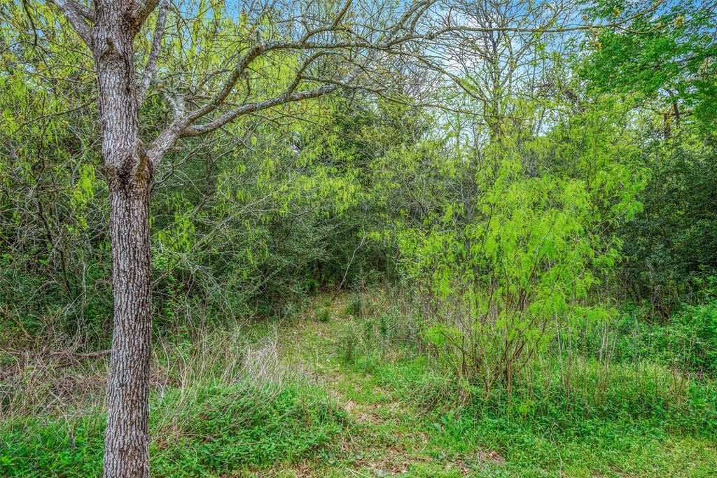 6208 Cromwell Court, Bryan, Texas image 45