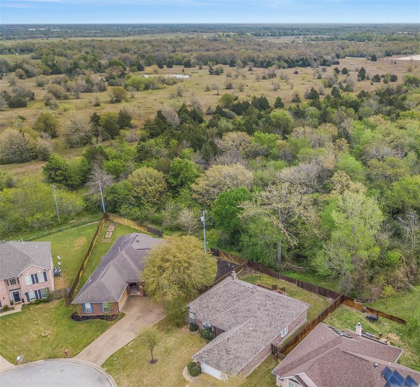 6208 Cromwell Court, Bryan, Texas image 48