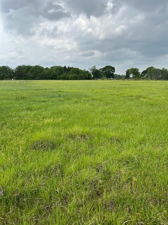 Hopfe Road, Hockley, Texas image 3