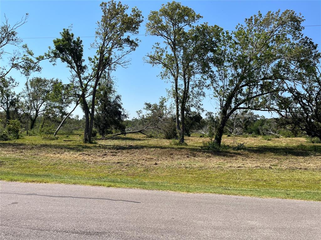 33218 Blue Marlin Dr Dr, Richwood, Texas image 1