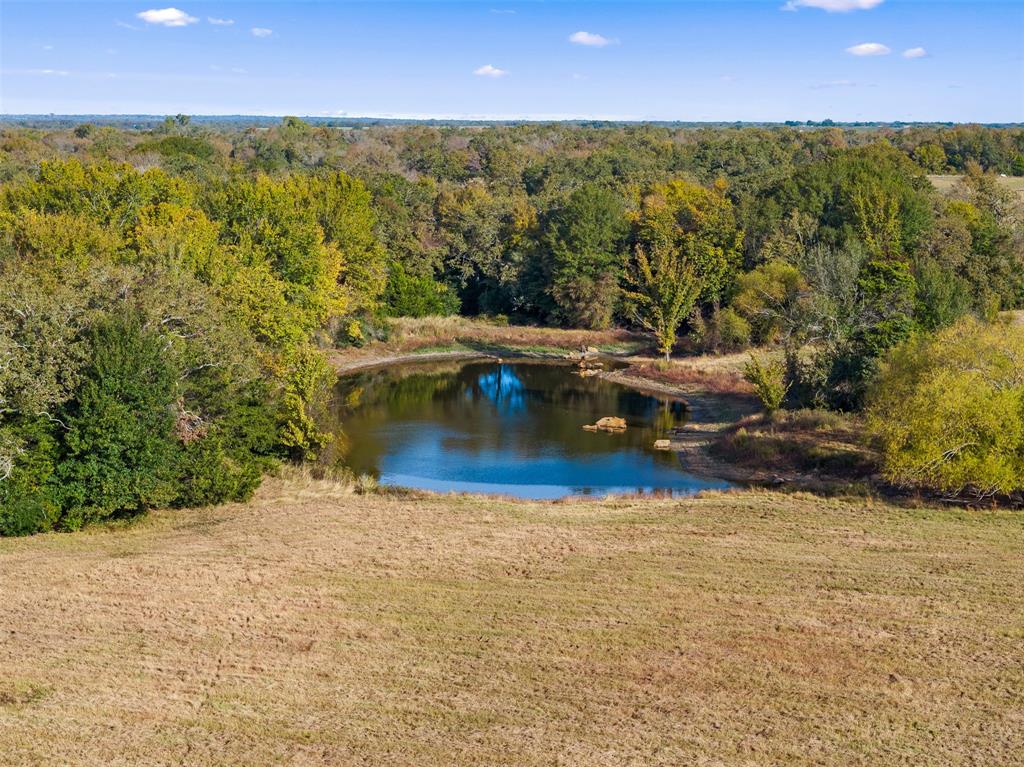 0000 Cr 269, Bremond, Texas image 3