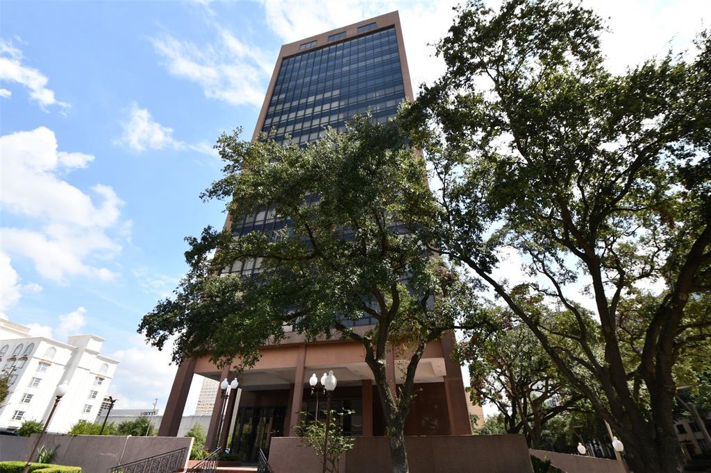 5150 Hidalgo Street #1704, Houston, Texas image 1