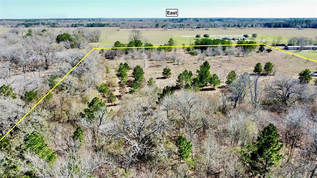 977 Tafelski Road, New Waverly, Texas image 16