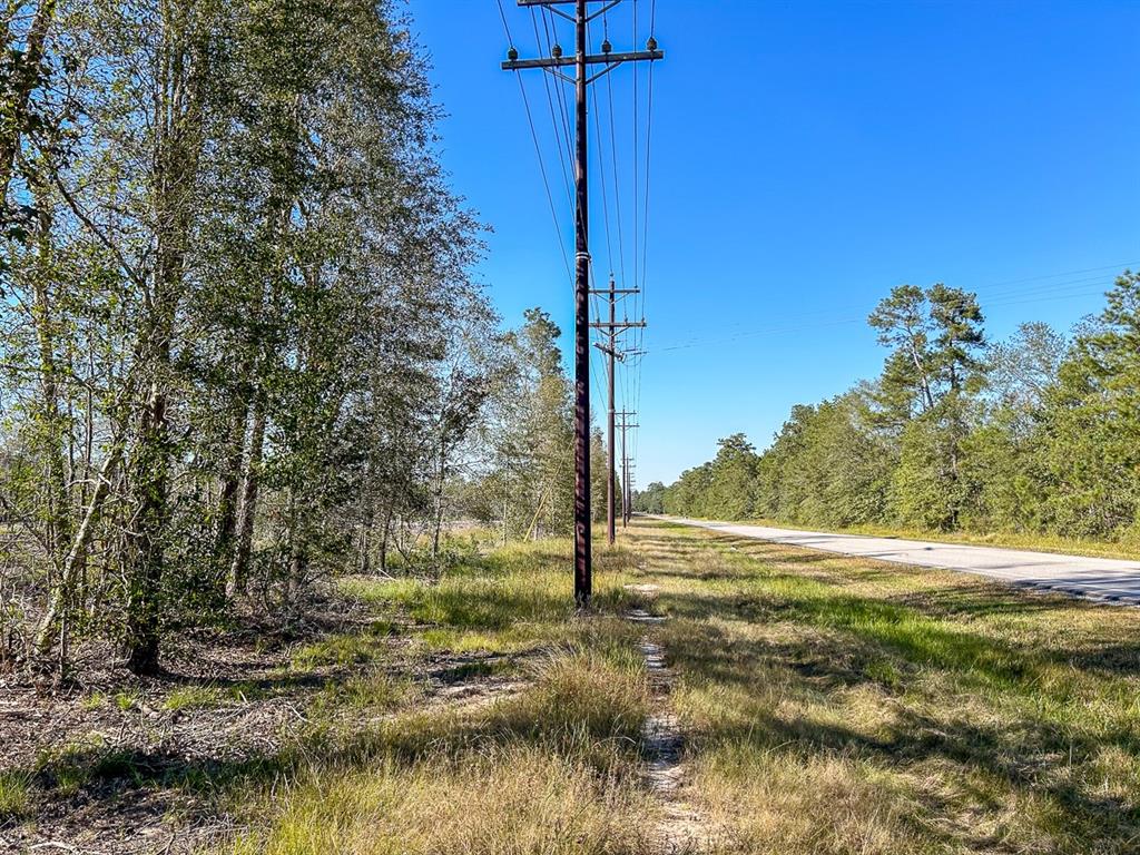 02 Fm 1003, Kountze, Texas image 7