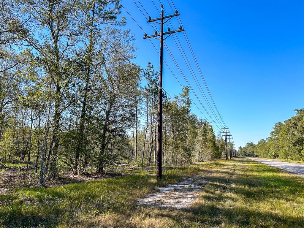 02 Fm 1003, Kountze, Texas image 6