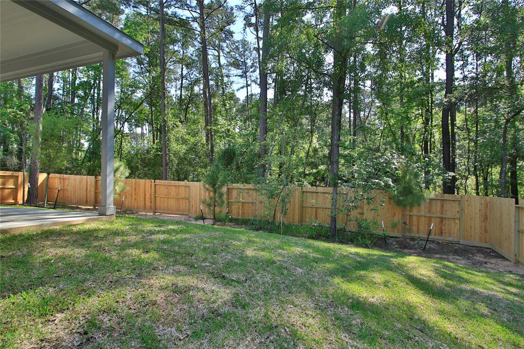 308 Snow Goose Court, Willis, Texas image 40