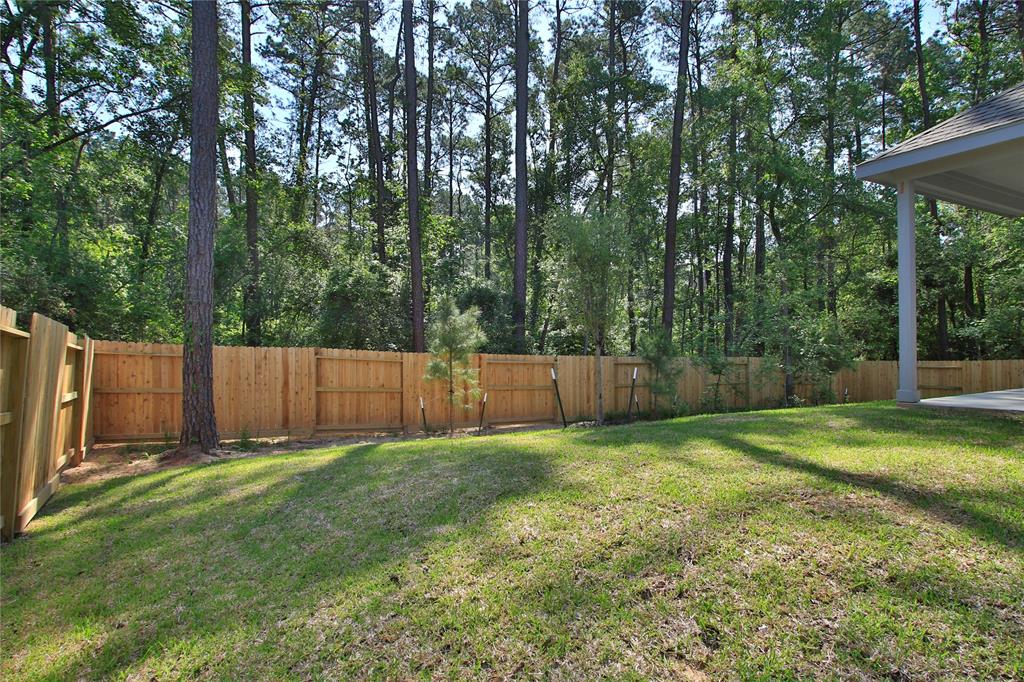 308 Snow Goose Court, Willis, Texas image 46