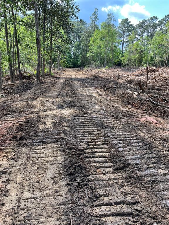 TBD Private Road 8327, Woodville, Texas image 3
