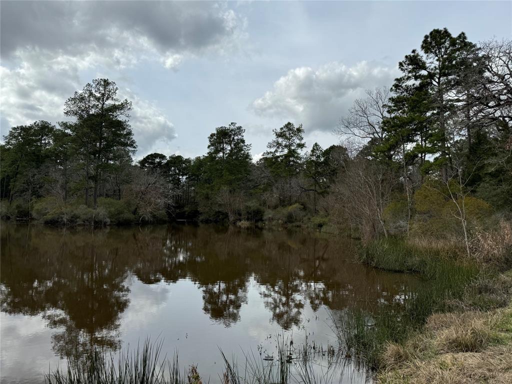 TBD Pinecrest Hideaway, Trinity, Texas image 10