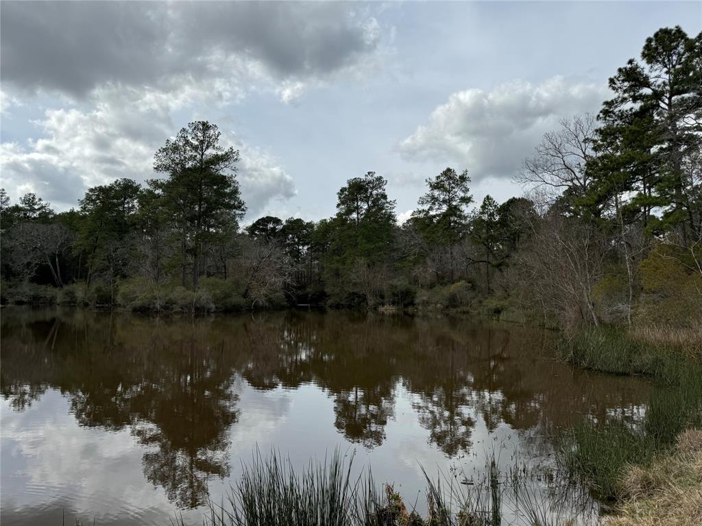 TBD Pinecrest Hideaway, Trinity, Texas image 11