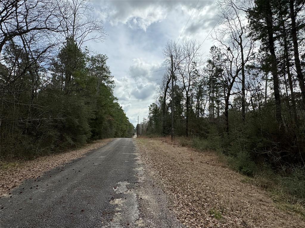 TBD Pinecrest Hideaway, Trinity, Texas image 9