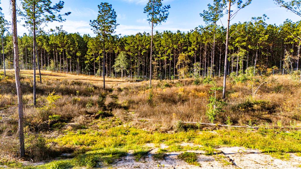 002 Blackbuck Drive, Moscow, Texas image 7