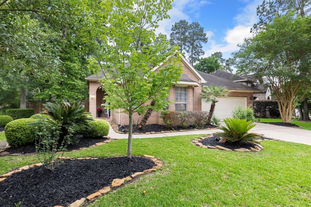 22 Red Adler Place, The Woodlands, Texas image 1