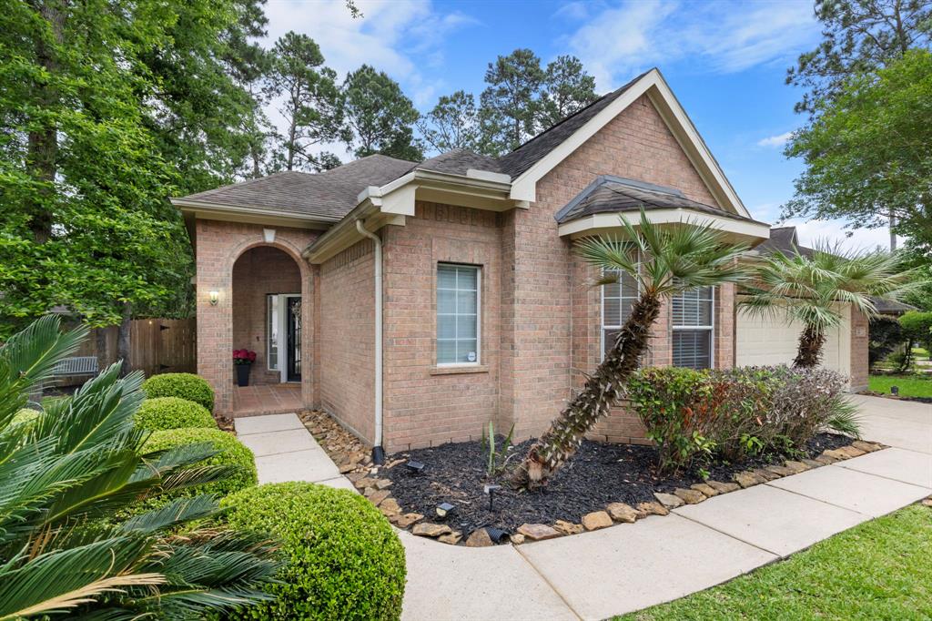 22 Red Adler Place, The Woodlands, Texas image 4