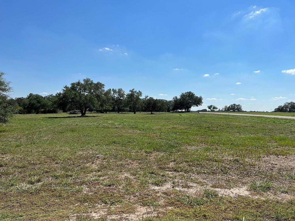 Lot 9 Pvt 1671, Hallettsville, Texas image 4