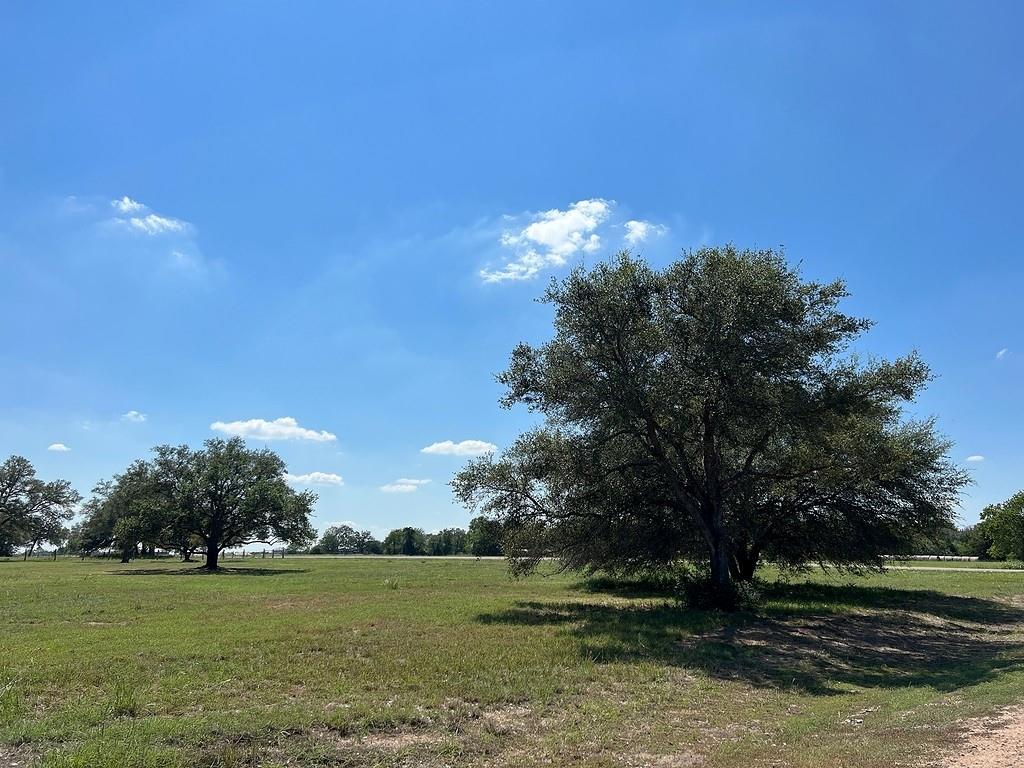 Lot 9 Pvt 1671, Hallettsville, Texas image 3