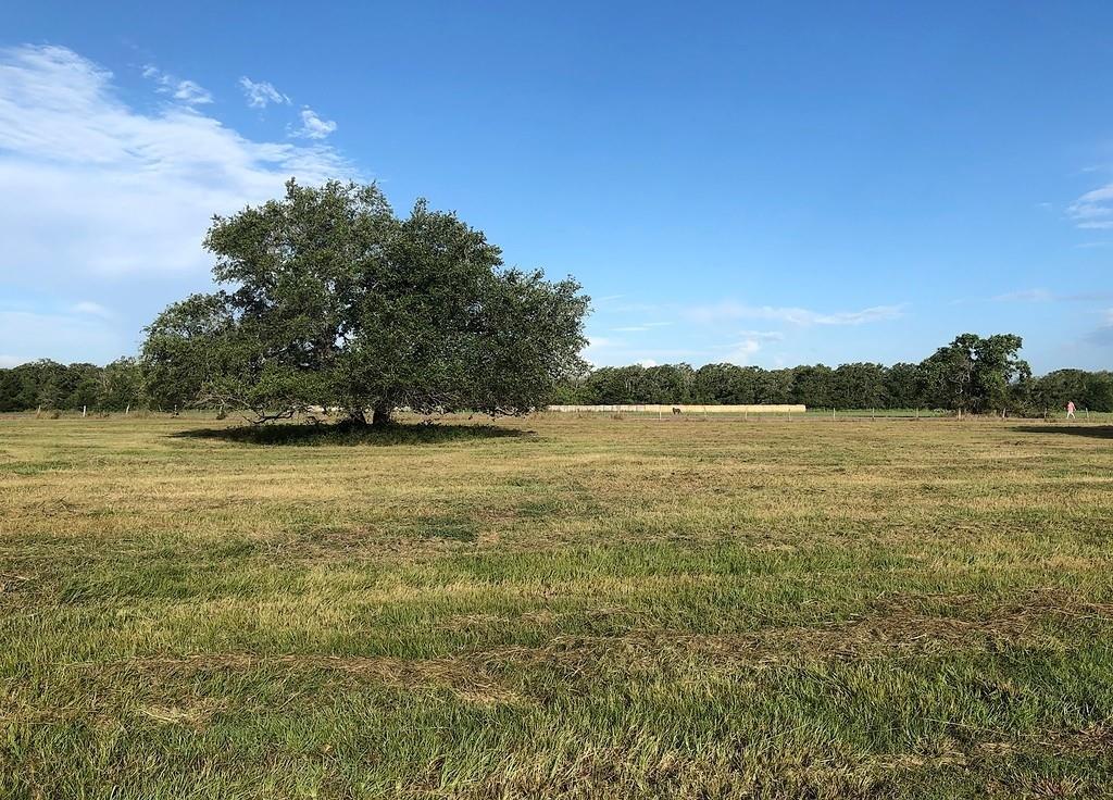 Lot 9 Pvt 1671, Hallettsville, Texas image 1