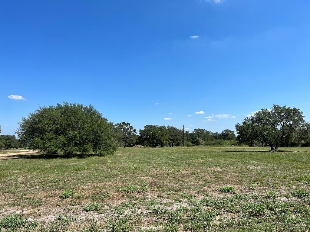 Lot 9 Pvt 1671, Hallettsville, Texas image 2