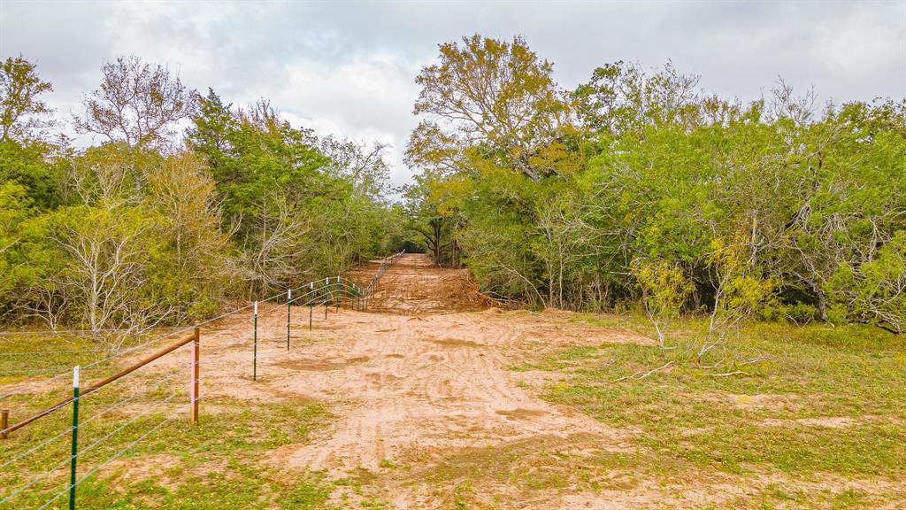 TBD Armstrong Derry Rd, Flatonia, Texas image 4