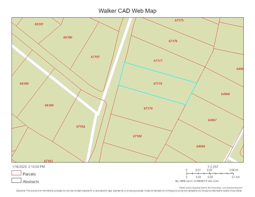 Lot 33 Lonestar Road, Huntsville, Texas image 6