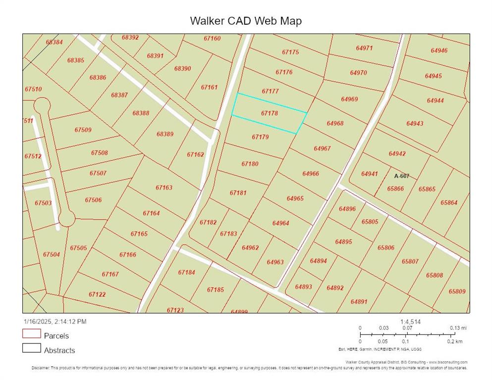 Lot 33 Lonestar Road, Huntsville, Texas image 7