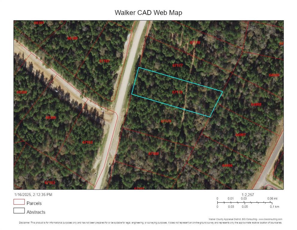 Lot 33 Lonestar Road, Huntsville, Texas image 2