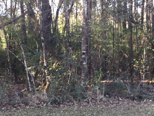 310 Johnson Drive, Livingston, Texas image 10