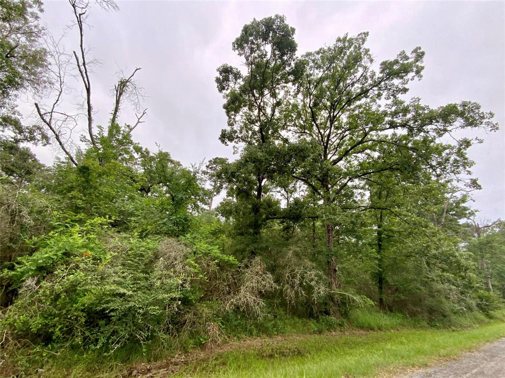 TBD Redbud Ridge, Onalaska, Texas image 5