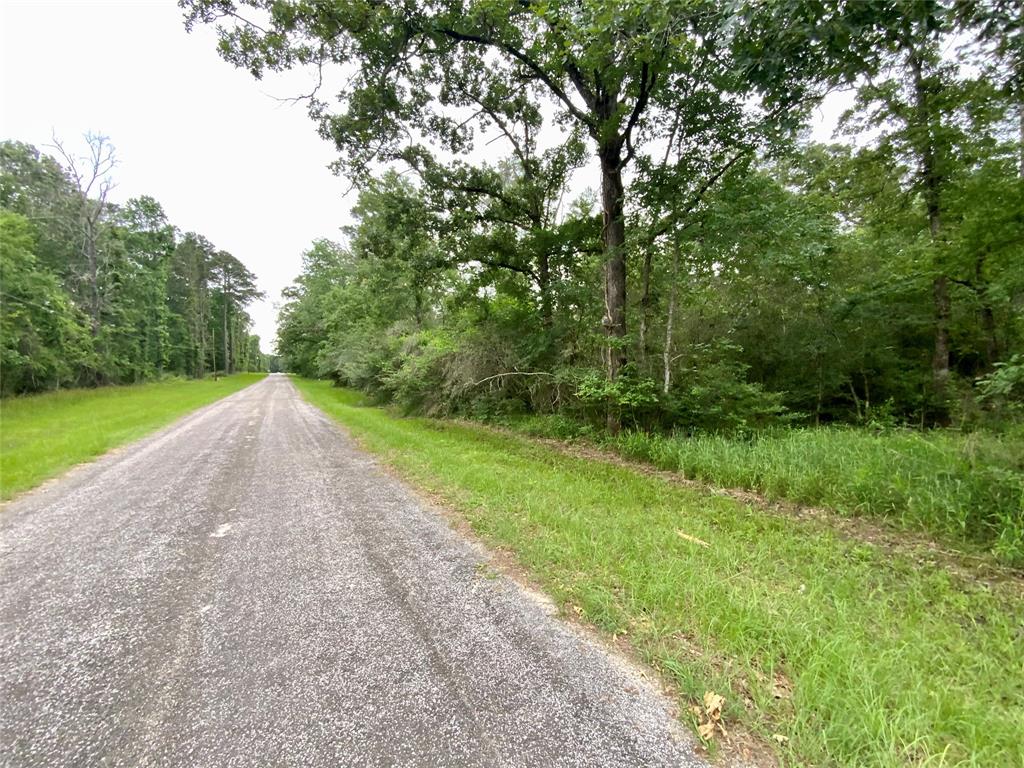 TBD Redbud Ridge, Onalaska, Texas image 1