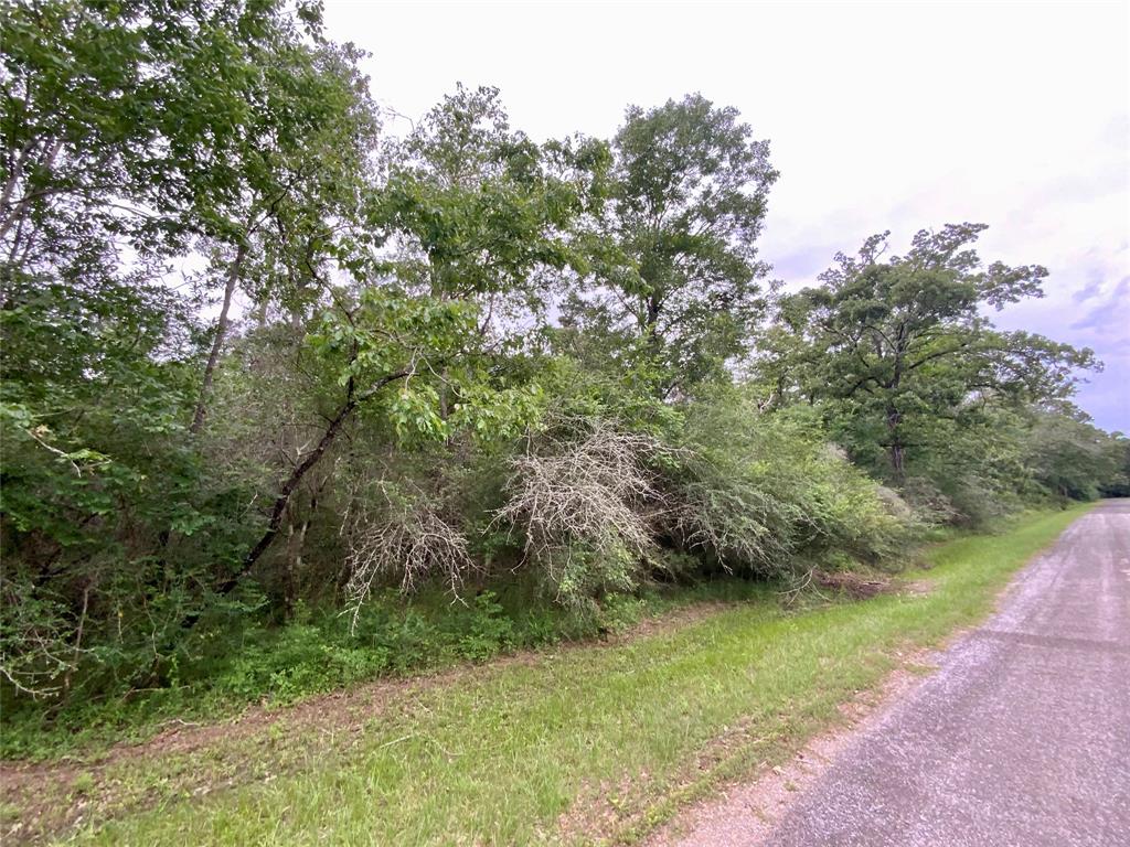 TBD Redbud Ridge, Onalaska, Texas image 2