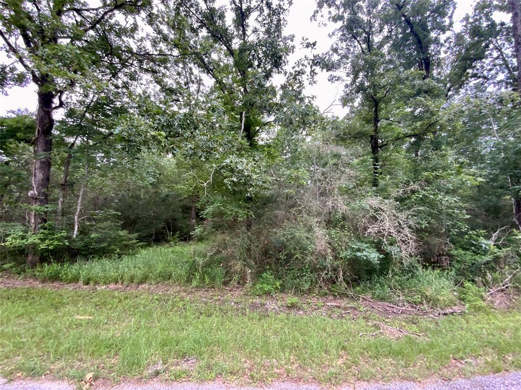 TBD Redbud Ridge, Onalaska, Texas image 7