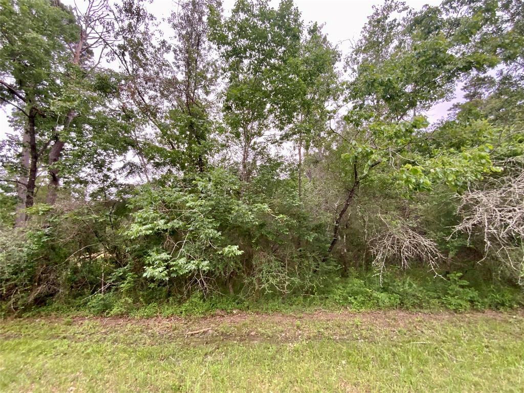 TBD Redbud Ridge, Onalaska, Texas image 4