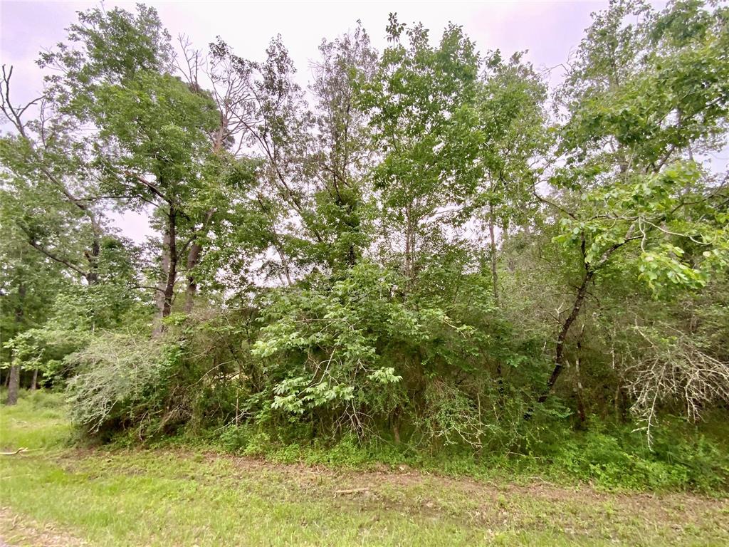 TBD Redbud Ridge, Onalaska, Texas image 3