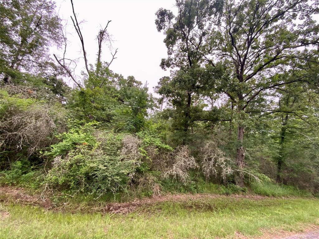TBD Redbud Ridge, Onalaska, Texas image 6
