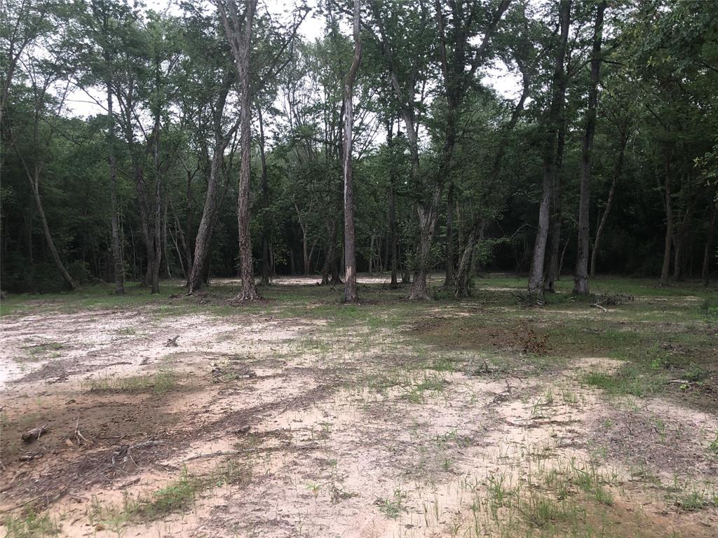 60 Pr 1315, Centerville, Texas image 19