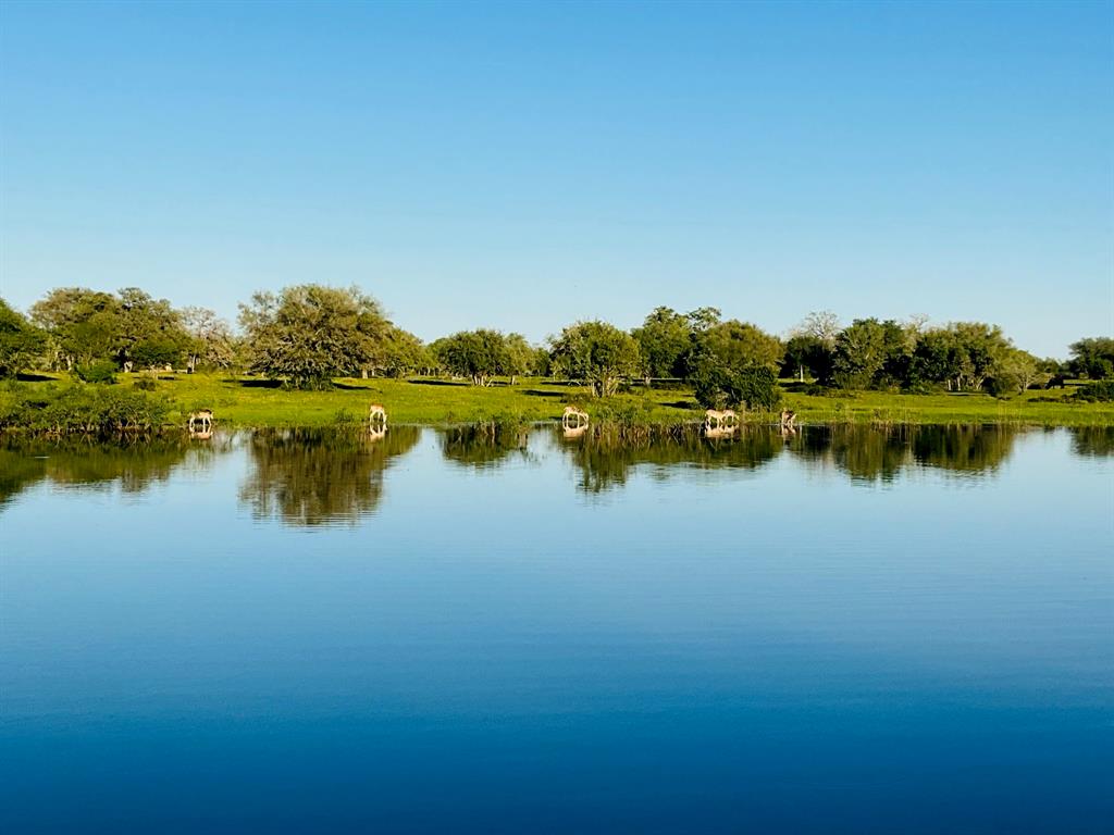 10 Garrett Road, Yoakum, Texas image 4