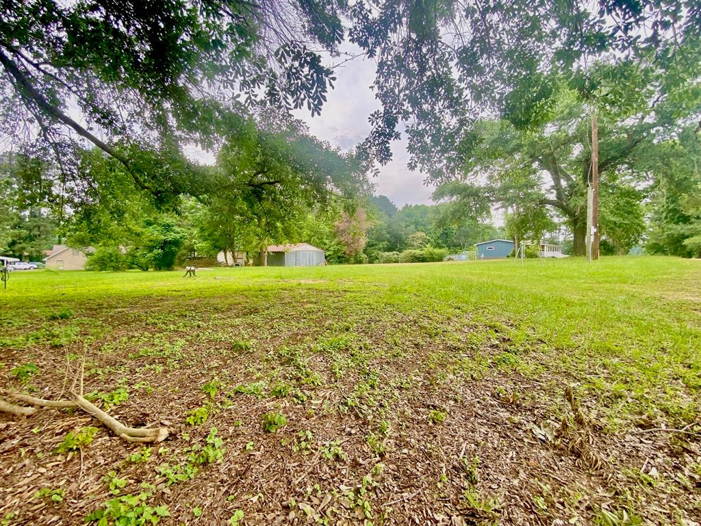 TBD Sycamore Street, Latexo, Texas image 11